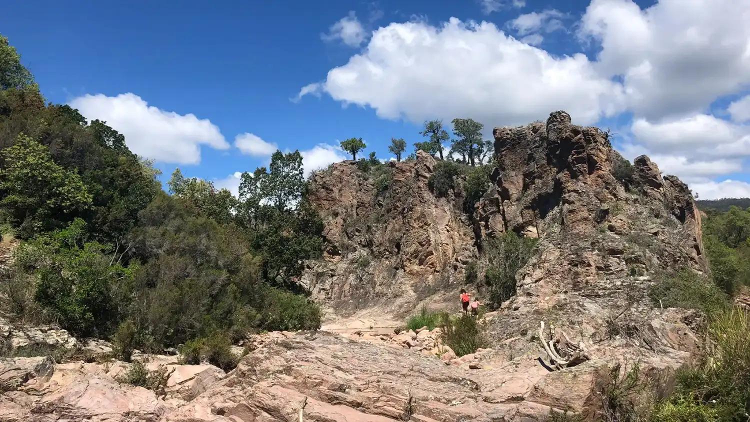 Paysage de l'Esterel